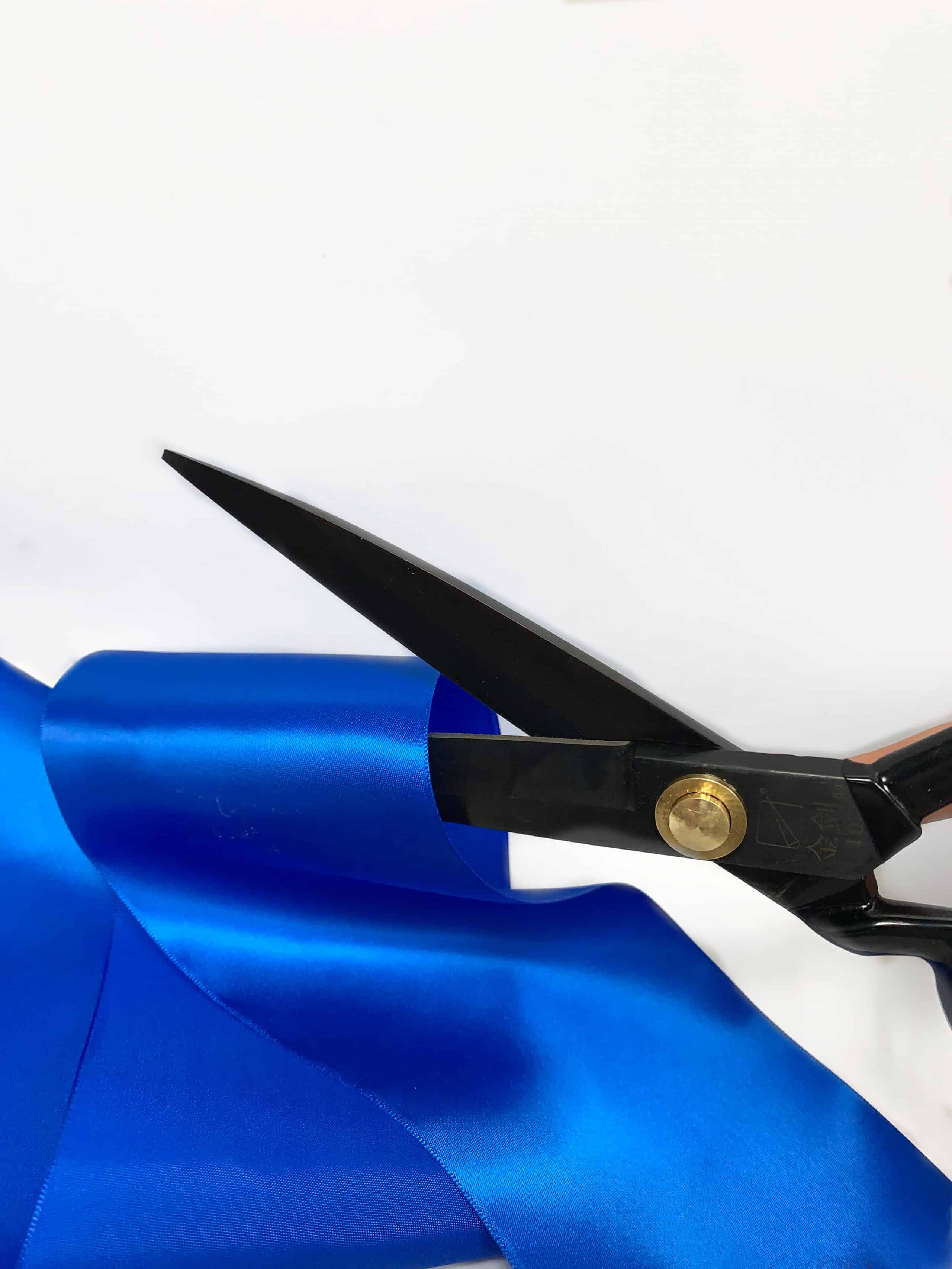 A pair of black scissors posed as though about to cut a pile of blue reason.